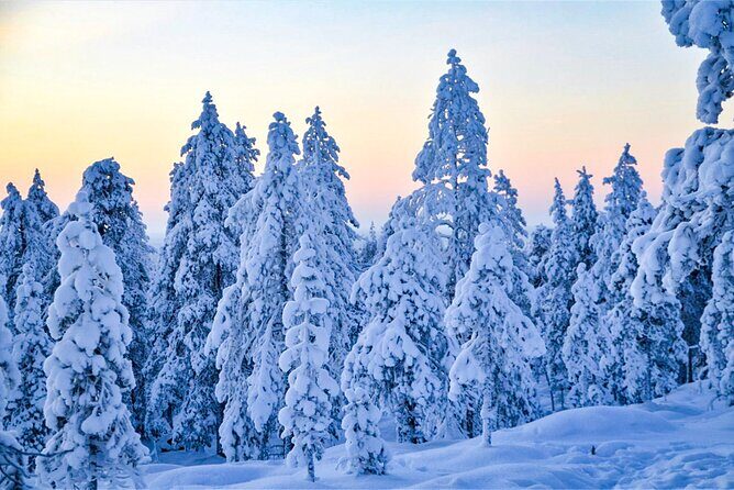 1-Hour Snowmobile Safari Adventure in Rovaniemi - Downsides and Considerations