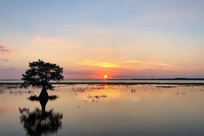 1-Hour Sunset Airboat Ride near Orlando - What to Expect from the Tour