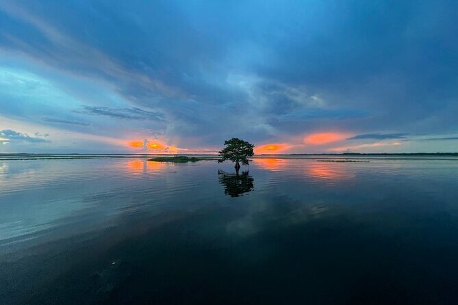 1-Hour Sunset Airboat Ride near Orlando - Is It Worth the Price?