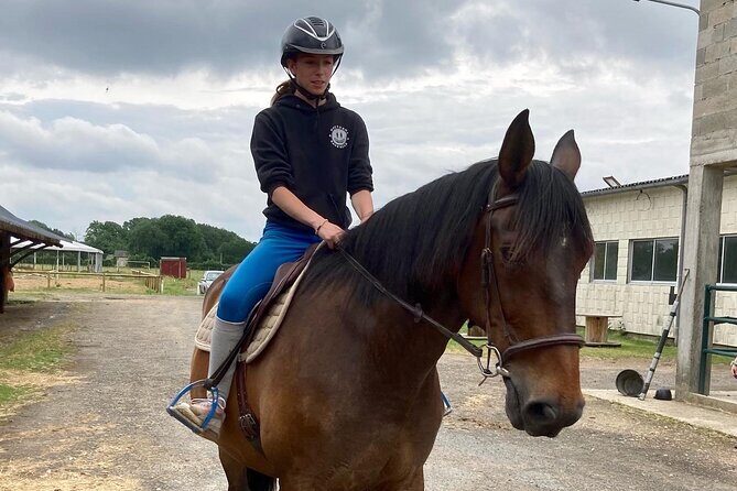 1-hour tourist walk with guide - What to Expect from Your Horse and Pony Ride in Lyon