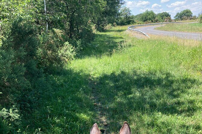 1-hour tourist walk with guide - Practical Details and Booking