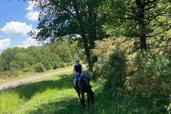 1-hour tourist walk with guide - Who Will Love This Tour?