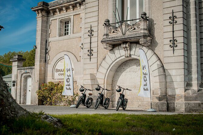 1 hour walk - The Gabarres river route - Why This Tour Is a Great Choice for Exploring Cognac