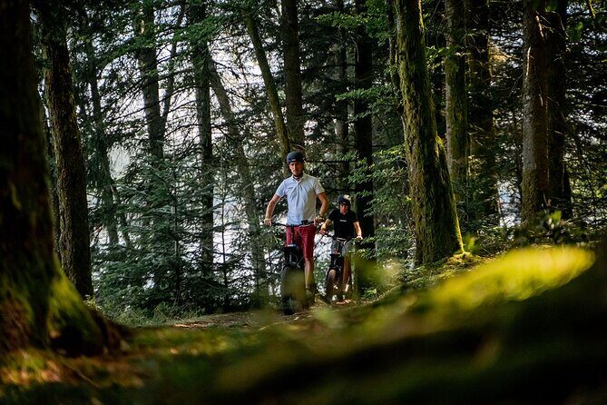 1 hour walk - The Gabarres river route - Who Should Consider This Tour?