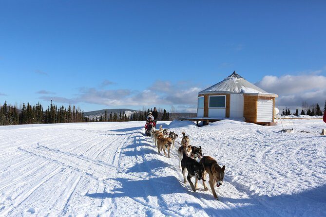 1 hour Winter Dog Sledding in Fairbanks - FAQ