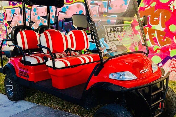 1 Hour WYNWOOD BUGGIES tour - Pricing and Value