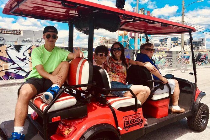 1 Hour WYNWOOD BUGGIES tour - Who Will Love This Tour?