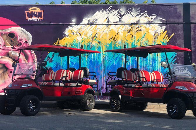 1 Hour WYNWOOD BUGGIES tour - Final Thoughts