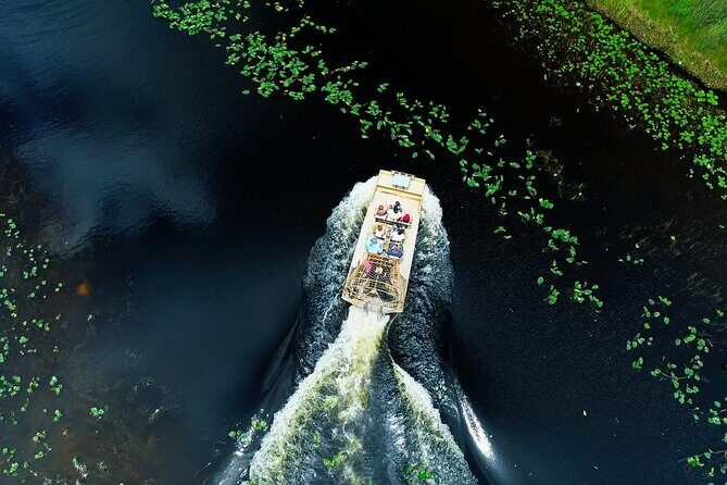 1 hr Private Airboat Everglades Tour near Miami - The Bottom Line