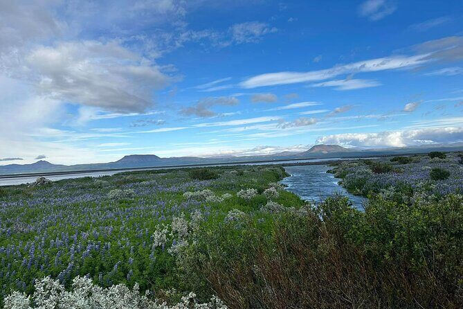 1 hrs ATV quad trip down with glacier river Northeast of Iceland - Final Thoughts