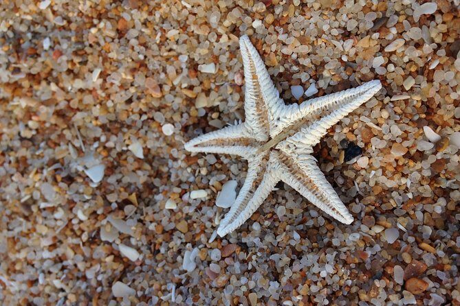 1 or 2 Hour Speed Boat Tour - Ria Formosa - FAQ