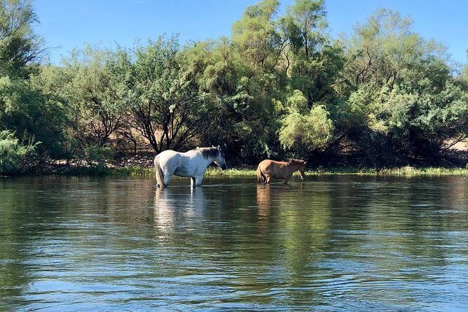 1 Person Inflatable Kayak Full-Day Rental - Transporting is required - Downsides to Consider