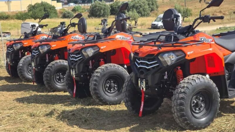 1 Person Quad Tour with Guide - Carregado, Lisboa - Key Points