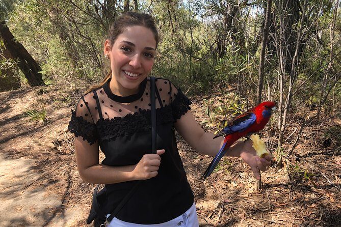 #1 Private Blue Mountains Tour by authentic story telling locals - A Deep Dive into the Tour Experience