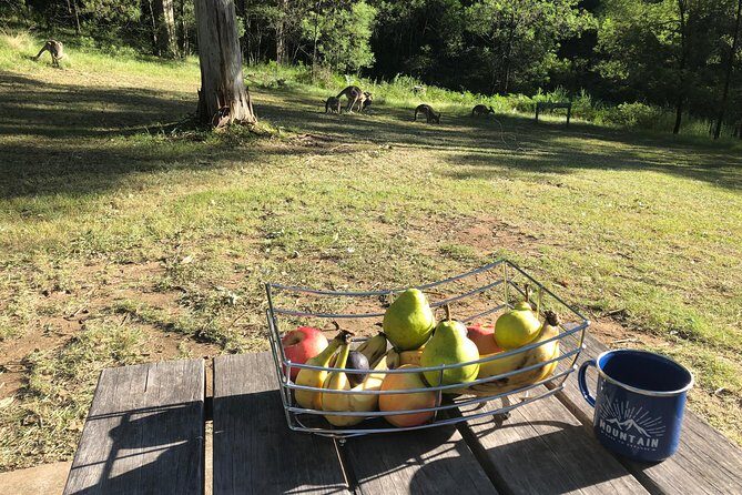 #1 Private Blue Mountains Tour by authentic story telling locals - Final Thoughts