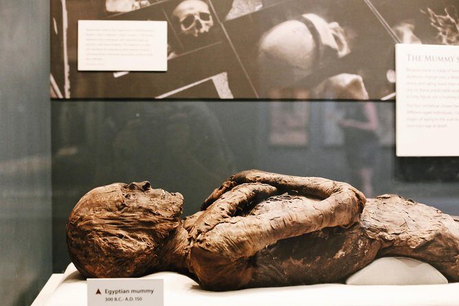 #1 Smithsonian Natural History + American History Museum Tour - Who is This Tour Best For?