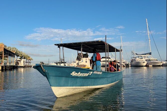 #1 Snorkel La Paz Mexico All Iconic Sites at Once private trip - The Experience and Practicalities