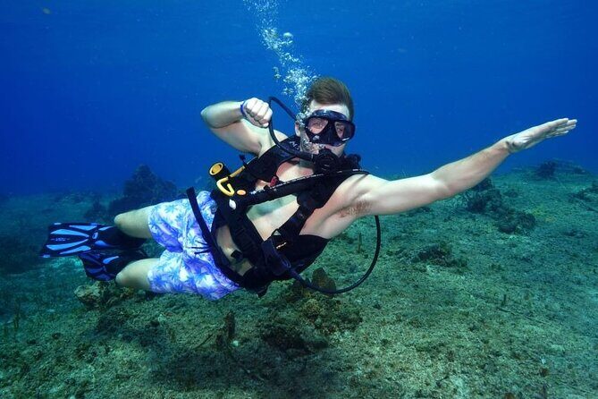 1 Tank Guided Shore Dive Including Equipment - Key Points