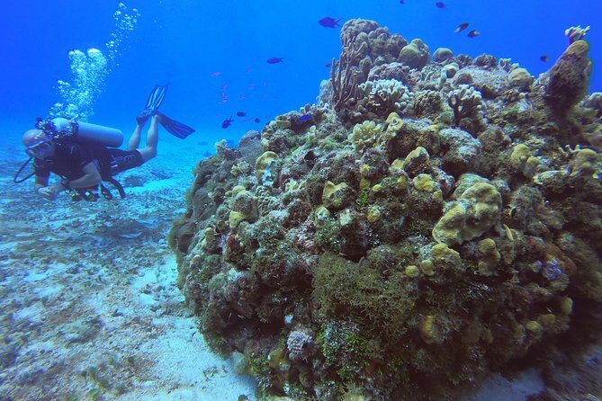 1 Tank Guided Shore Dive Including Equipment - What Makes This Shore Dive Special?