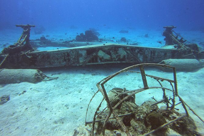 1 Tank Guided Shore Dive Including Equipment - What We Loved About the Tour