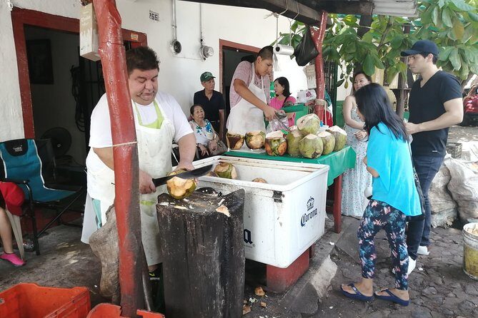 1 to 10 Passengers Vallarta Private City Tour - Final Thoughts