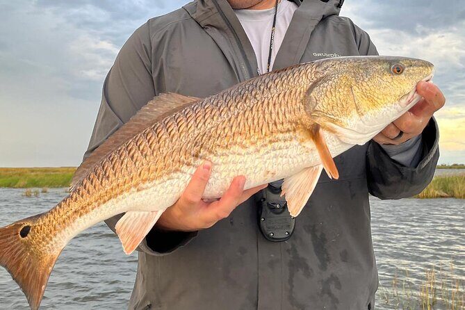 #1 Top Rated - Calm Water Inshore Fishing Charter In Your Area - Key Points