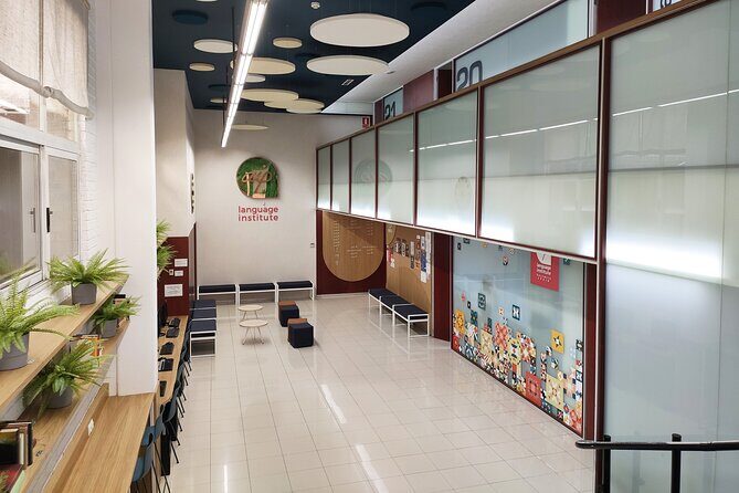 1 Week Intensive Spanish Course (20 Lessons/Week) - What Is the Routine Like?