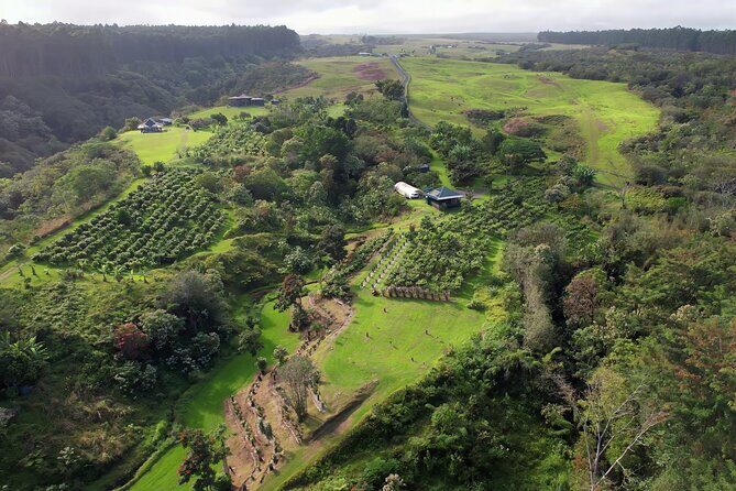 10 Bar Hawaiian Craft Chocolate Tasting Experience - Who Will Love This Tour?
