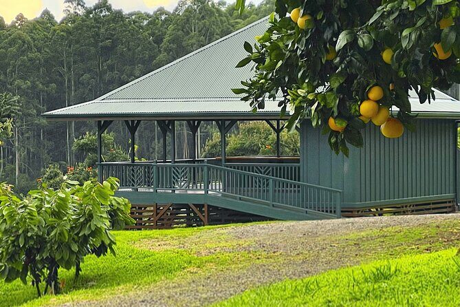 10 Bar Hawaiian Craft Chocolate Tasting Experience - Final Thoughts