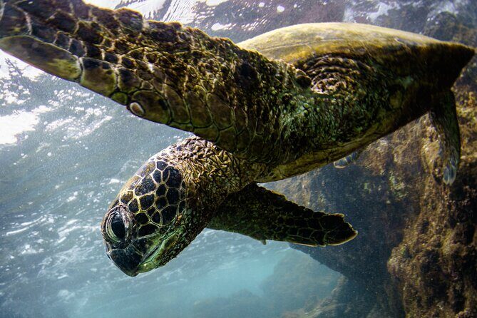 10 Passenger Max Customizable Private Charter - Final Thoughts