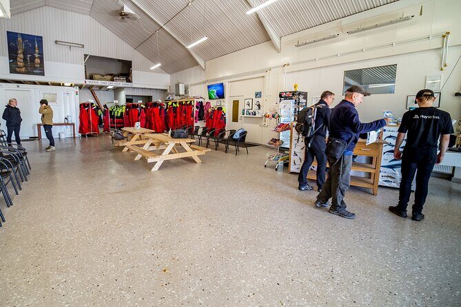 100% Whale Watching - The Experience in Perspective