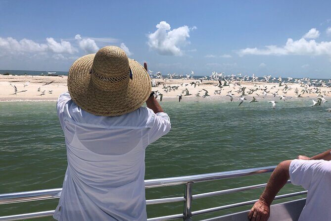 10,000 Islands Boat Excursion - 3.5-Hour Dolphins & Shelling Tour - A Deep Dive Into the Experience