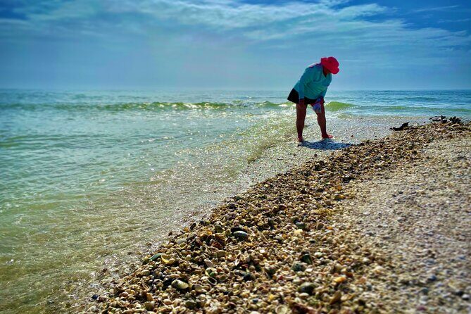 10K Islands Private Shelling Tour - Who Should Consider This Tour?