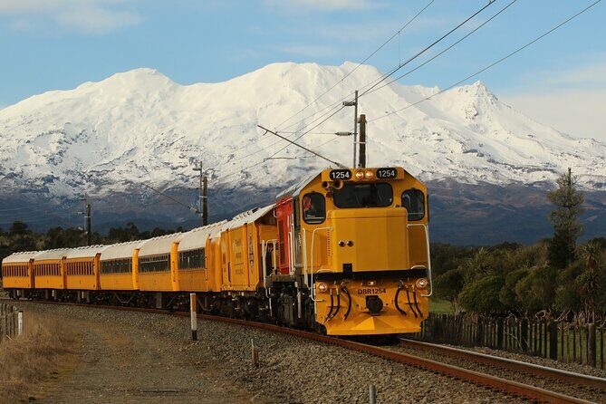 11 Day Shared Rail Tour of NZ North Island - Final Thoughts on Suitability