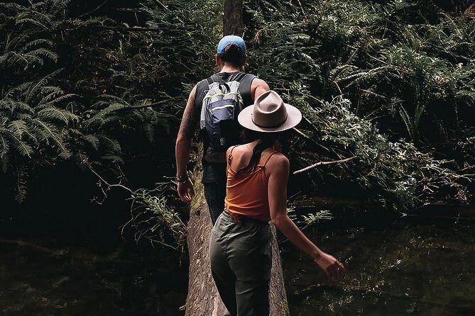 12 Apostles, Otways & Great Ocean Road Day Tour - Small Group - What’s Included & What’s Not