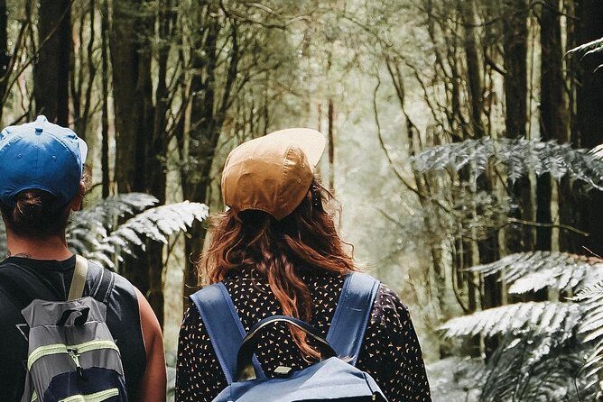 12 Apostles, Otways & Great Ocean Road Day Tour - Small Group - Who Should Consider This Tour?