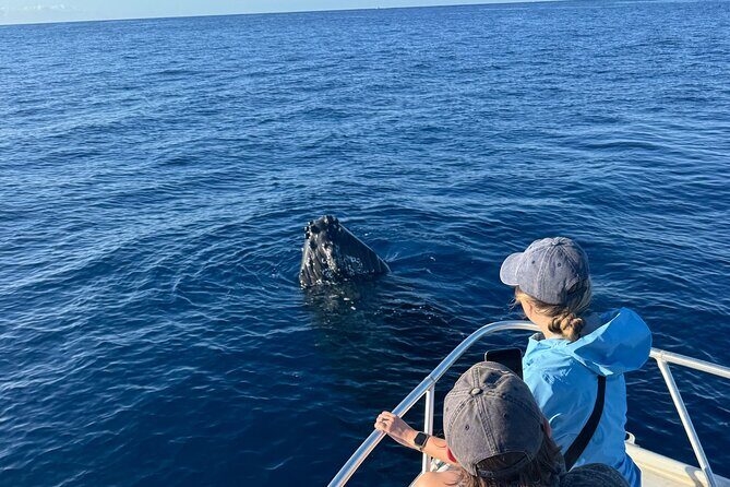 12 Passenger Kaanapali Beach Whale Watch tour. Onboard Whale Mic - Frequently Asked Questions