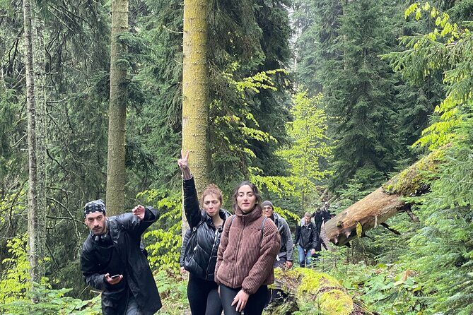 13 km hike in Borjomi - Group tour from Tbilisi - The Transport and Logistics