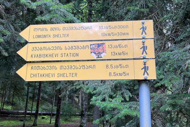 13 km hike in Borjomi - Group tour from Tbilisi - The Realities From Reviews