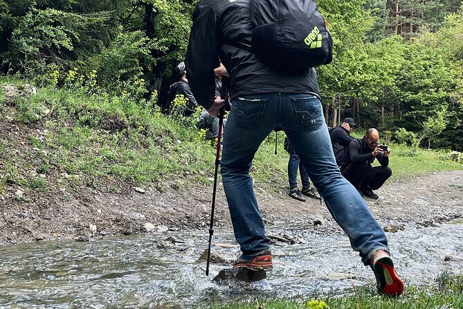 13 km hike in Borjomi - Group tour from Tbilisi - Who Should Consider This Tour?