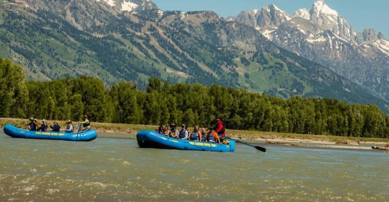 13-Mile Snake River Scenic Rafting Experience from Jackson - Real Experiences and Feedback