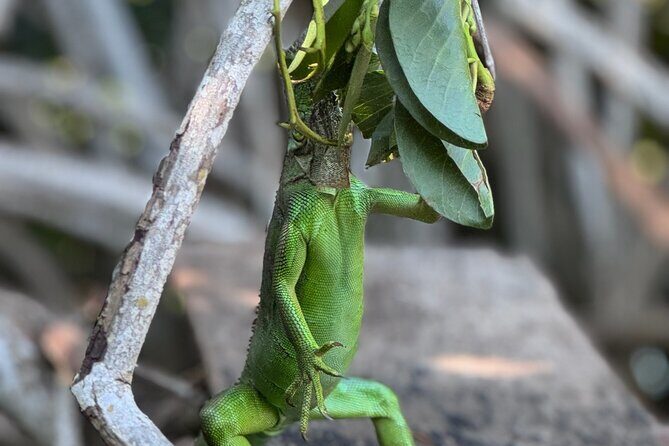 14 Day Beach Paradise Tour in Puerto Escondido Mexico - Final Thoughts