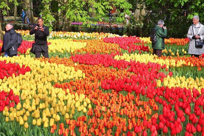 14-day Taste of Europe Tour: France, Italy, Monaco,Switzerland,Germany and more. - The Itinerary Breakdown: What to Expect