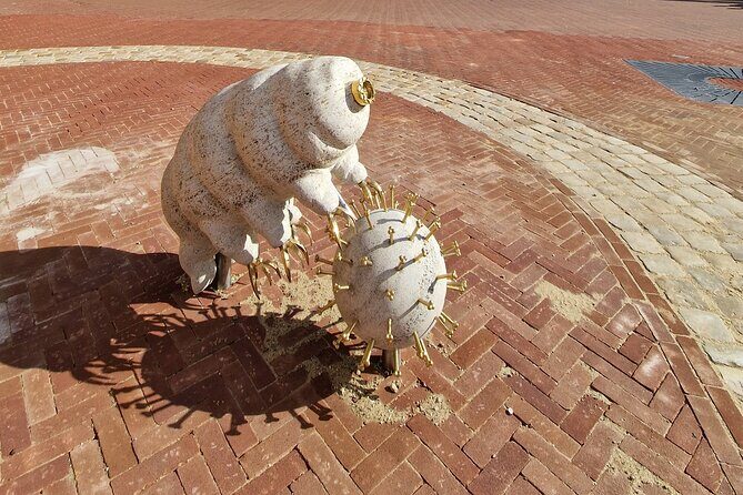 1,5 hour private guided Highlights of Arnhem City Walk - FAQ