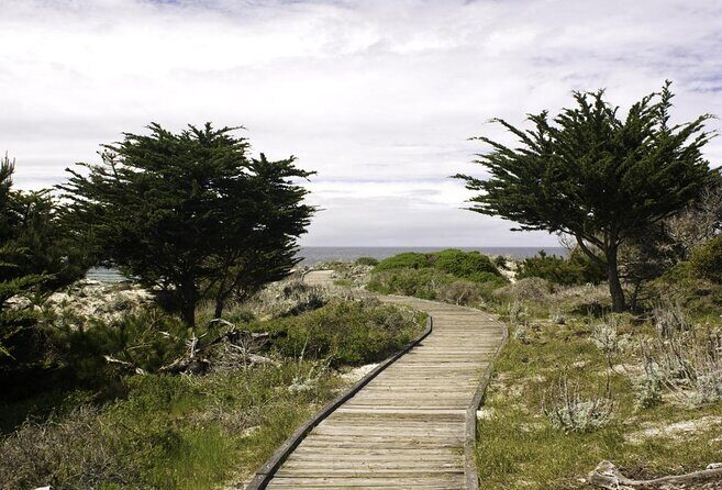 17-Mile Drive Self-Guided Audio Tour from Monterey & Carmel - The Itinerary in Detail