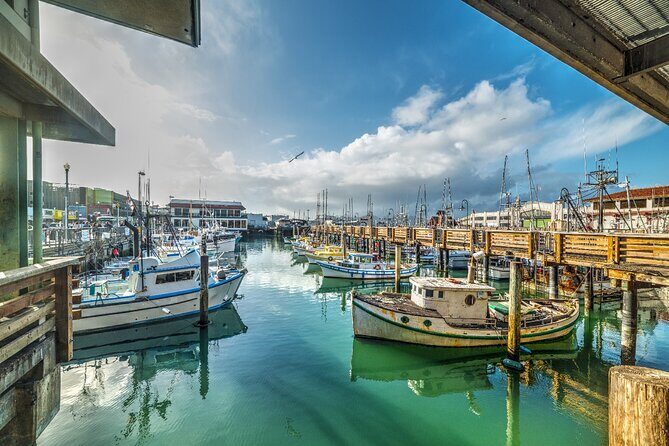 17-Mile Drive Self-Guided Audio Tour from Monterey & Carmel - Who Is This Tour Best For?