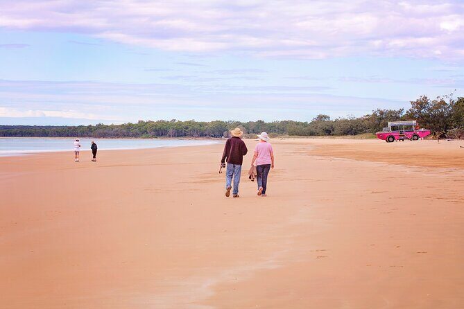 1770 Coastline Tour by LARC Amphibious Vehicle Including Picnic Lunch - The Sum Up: Who Should Book?