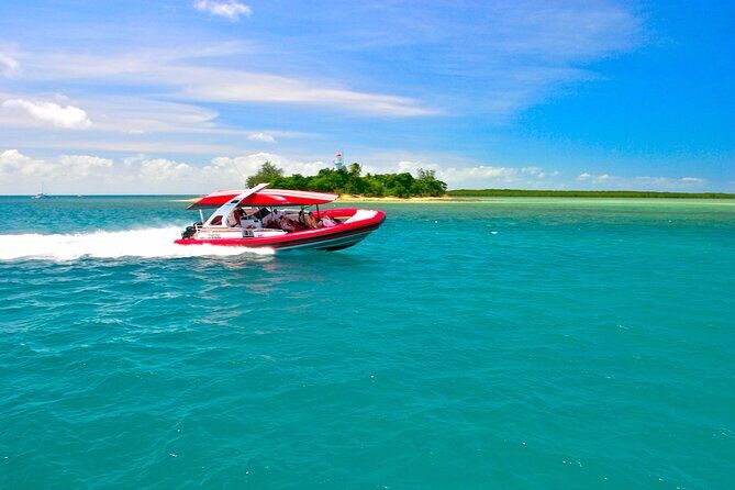 2 1/4 hr Low Isles Reef Sprinter Snorkeling Tour-No Island Access - An Honest Dive into the Low Isles Reef Snorkeling Tour