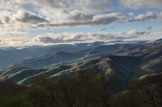 2.5-3 hour Smoky Mountain Cherokee Blue Ridge Parkway Safari tour - Final Thoughts