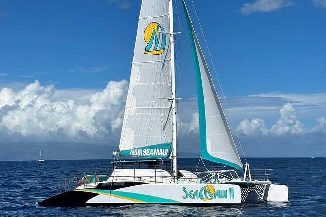 2.5 Hour Xpress Snorkel from Kaanapali Beach - Practical Considerations and Downsides